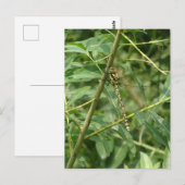 Leuke libel, vasthouden op DIY Briefkaart (Voorkant / Achterkant)