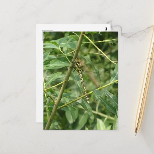 Leuke libel, vasthouden op DIY Briefkaart (Voorkant / Achterkant in situ)