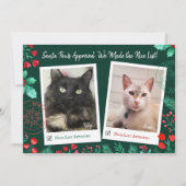 Leuke Lijst 2 Kattenfoto Waterverf Rood & Groen Feestdagenkaart (Voorkant)