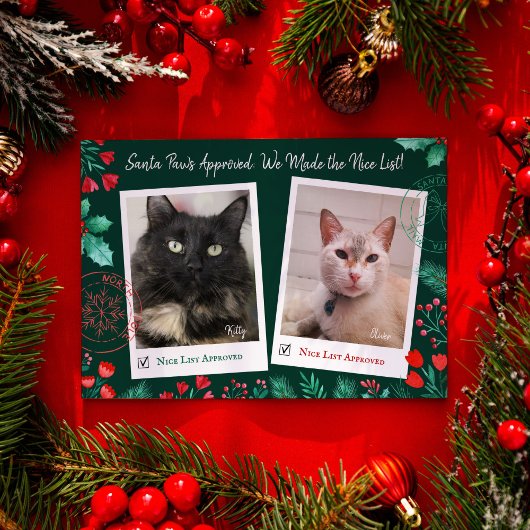 Leuke Lijst 2 Kattenfoto Waterverf Rood & Groen Feestdagenkaart