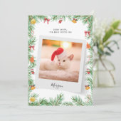 Leuke Lijst Grappige Huisdier Kat Foto Aangepaste  Feestdagenkaart (Staand voorkant)