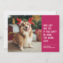 Leuke lijst grappige huisdier roze kerst foto feestdagenkaart