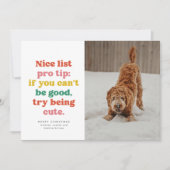 Leuke lijst grappige leuke kleurrijke foto kerst feestdagenkaart (Voorkant)