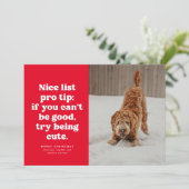 Leuke lijst grappige schattige rode foto Kerstmis Feestdagenkaart (Staand voorkant)
