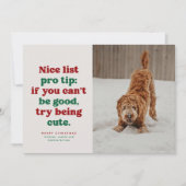 Leuke lijst grappige schattige rode groene huisdie feestdagenkaart (Voorkant)