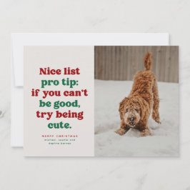 Leuke lijst grappige schattige rode groene huisdie feestdagenkaart