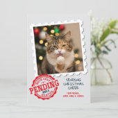 Leuke lijst in afwachting van grappige kat hond fo feestdagenkaart (Staand voorkant)