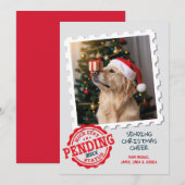 Leuke lijst in afwachting van grappige kat hond fo feestdagenkaart (Voorkant / Achterkant)