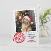 Leuke lijst in afwachting van grappige kat hond fo feestdagenkaart (Staand voorkant)