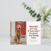 Leuke lijst pro tip grappig een foto kerst huisdie feestdagenkaart (Staand voorkant)