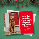 Leuke lijst pro tip grappige rode kerst huisdier f feestdagenkaart<br><div class="desc">Leuke lijst pro tip - als je niet goed kunt zijn, probeer dan schattig te zijn. Dit feestelijke en grappige kerstfoto briefkaart is ideaal voor je te schattig voor de stoute lijsthond, poes of misschien zelfs kind. Stuur een glimlach met dit rode en witte briefkaart met één foto met een...</div>