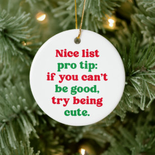 Leuke lijst pro tip leuke grappige huisdier foto k keramisch ornament