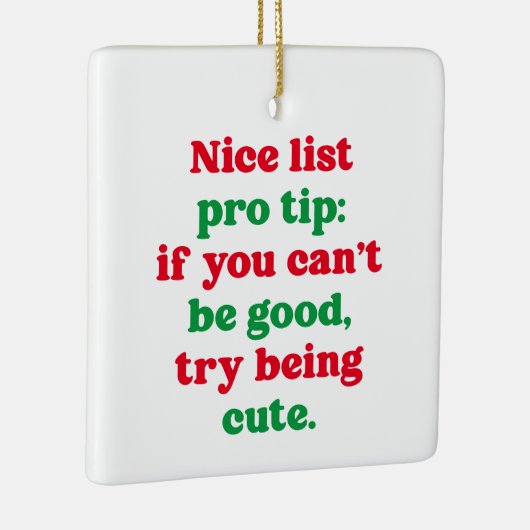 Leuke lijst pro tip schattige grappige huisdier fo keramisch ornament (Rechts)