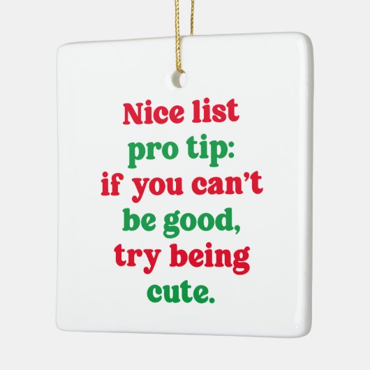 Leuke lijst pro tip schattige grappige huisdier fo keramisch ornament (Links)