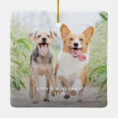 Leuke lijst pro tip schattige grappige huisdier fo keramisch ornament (Achterkant)