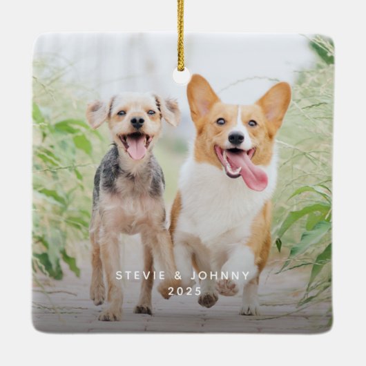 Leuke lijst pro tip schattige grappige huisdier fo keramisch ornament (Achterkant)