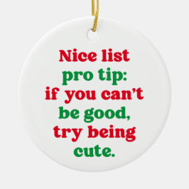 Leuke lijst pro tip schattige grappige huisdier fo keramisch ornament