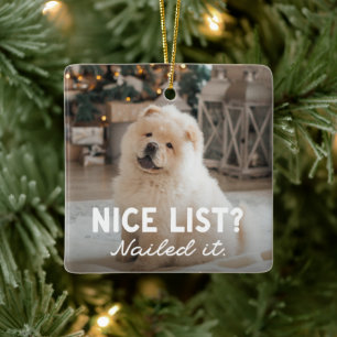 Leuke lijst schattig leuk twee foto huisdier keramisch ornament