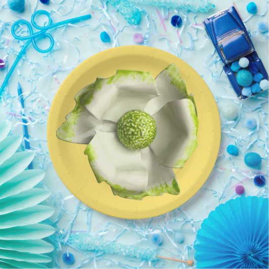 Leuke madeliefjes bloem lente zomer bruiloft verja papieren bordje (Feest)