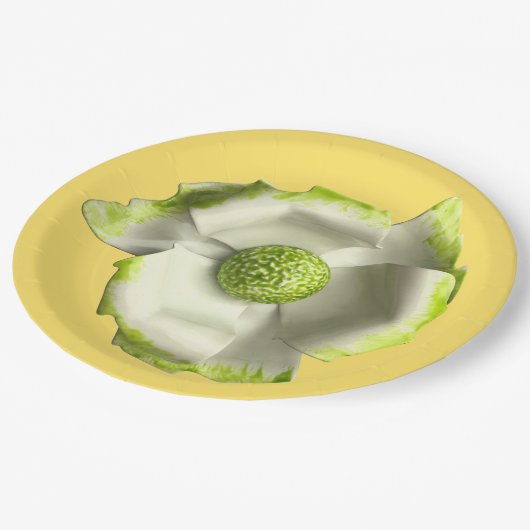 Leuke madeliefjes bloem lente zomer bruiloft verja papieren bordje (Gekanteld)