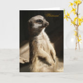 Leuke Meerkat "Geduld" Om het even welk Wenskaart Kaart (Gele Bloem)