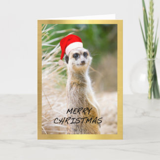 "Leuke Meerkat" ontwerpKerstkaart Feestdagen Kaart