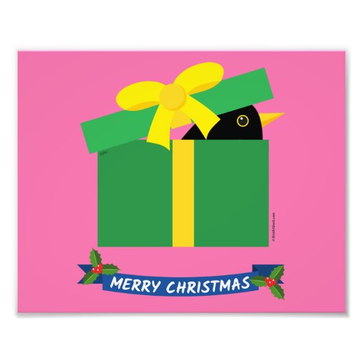 Leuke merel gluren uit een geschenkdoos foto afdruk (Voorkant)