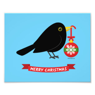 Leuke merel met een kerstbal foto afdruk
