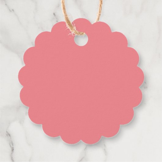 Leuke Miss Onederful roze ballon dank u Bedankjes Labels (Achterkant)