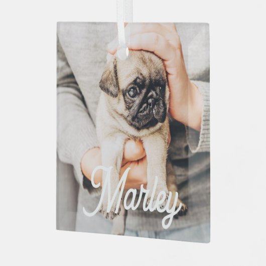 Leuke moderne eenvoudige aangepaste huisdier foto  glas ornament (Voorkant links)