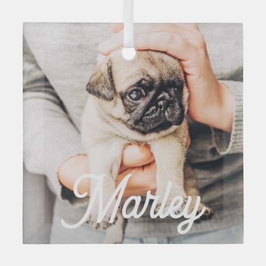 Leuke moderne eenvoudige aangepaste huisdier foto  glas ornament (Voorkant)