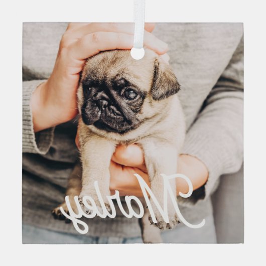 Leuke moderne eenvoudige aangepaste huisdier foto  glas ornament (Achterkant)