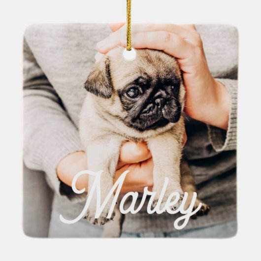 Leuke moderne eenvoudige aangepaste huisdier foto  keramisch ornament (Achterkant)