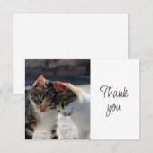 Leuke Moppige Kittens Katten Dank Je Bedankkaart (Voorkant / Achterkant)
