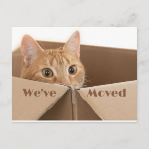 Leuke nieuwe adresherinnering, nieuw thuis Briefka Aankondigingskaart