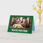Leuke Noordpool Slaap Kerstmis Kaart (Gele Bloem)