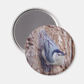 Leuke Nuthatch Vogelmagneet Magneet (Voorkant / Achterkant)