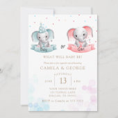 Leuke olifanten Geslacht onthullen baby shower Kaart (Voorkant)