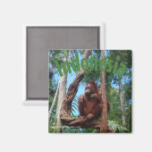 Leuke orang-oetan in regenwoud magneet (Voorkant / Achterkant)