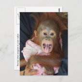 Leuke orang-oetan tong aap bedrijf briefkaart (Voorkant / Achterkant)