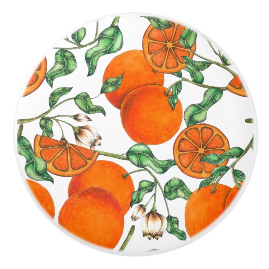 Leuke Oranje Citrus Fruit Waterverf Keramische Knop (Voorkant)