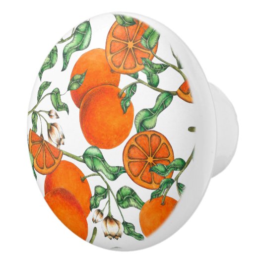 Leuke Oranje Citrus Fruit Waterverf Keramische Knop (Rechts)