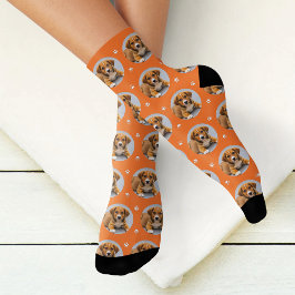 Leuke oranje hondsfoto met pootafdruk sokken