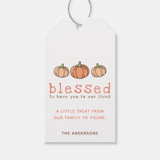 Leuke Oranje pompoen gezegende Thanksgiving Cadeaulabel (Voorkant)