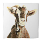 Leuke oude geit, Boerderij dierlijke Humor Tegeltje (Voorkant)