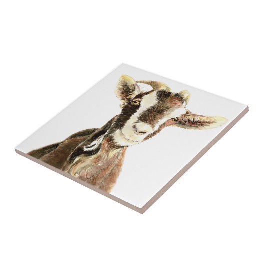 Leuke oude geit, Boerderij dierlijke Humor Tegeltje (Zijkant)