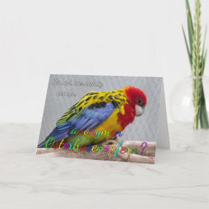 Leuke paasgroeten voor je dierbaren! Kaart