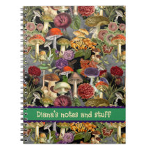 Leuke paddenstoel schimmels grijze tuin