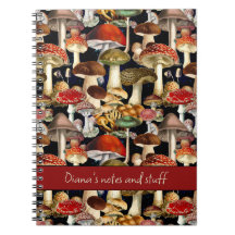 Leuke paddenstoel schimmels rood zwart patroon