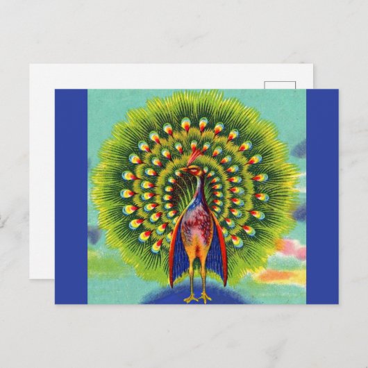 leuke pauw-afdruk briefkaart (Voorkant / Achterkant)